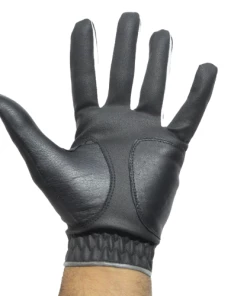 GolfBasic 2.0 Premium Leather Golf Glove