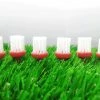 GolfBasic Brush Golf Tees (3 Sizes)
